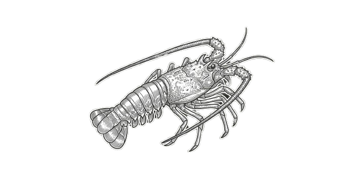 lobster